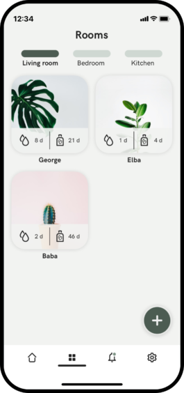 Tal Engel • Product Design