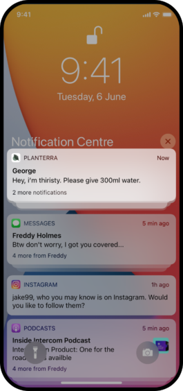 Tal Engel • Product Design