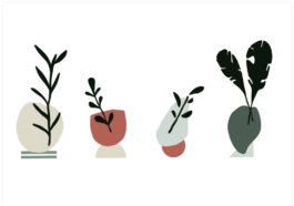 Tal Engel • Product Design